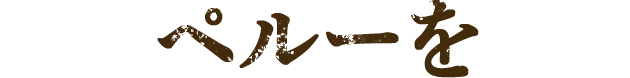 ペルーを