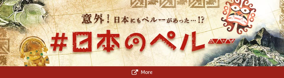 キャンペーン実施中！